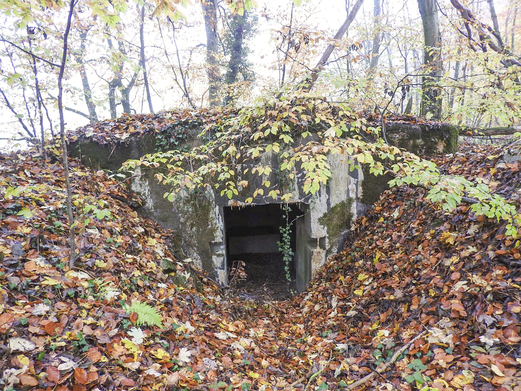 Ligne Maginot - STOCKEN 5 - (Blockhaus pour canon) - L'entrée matériel. - STENGER Mathieu