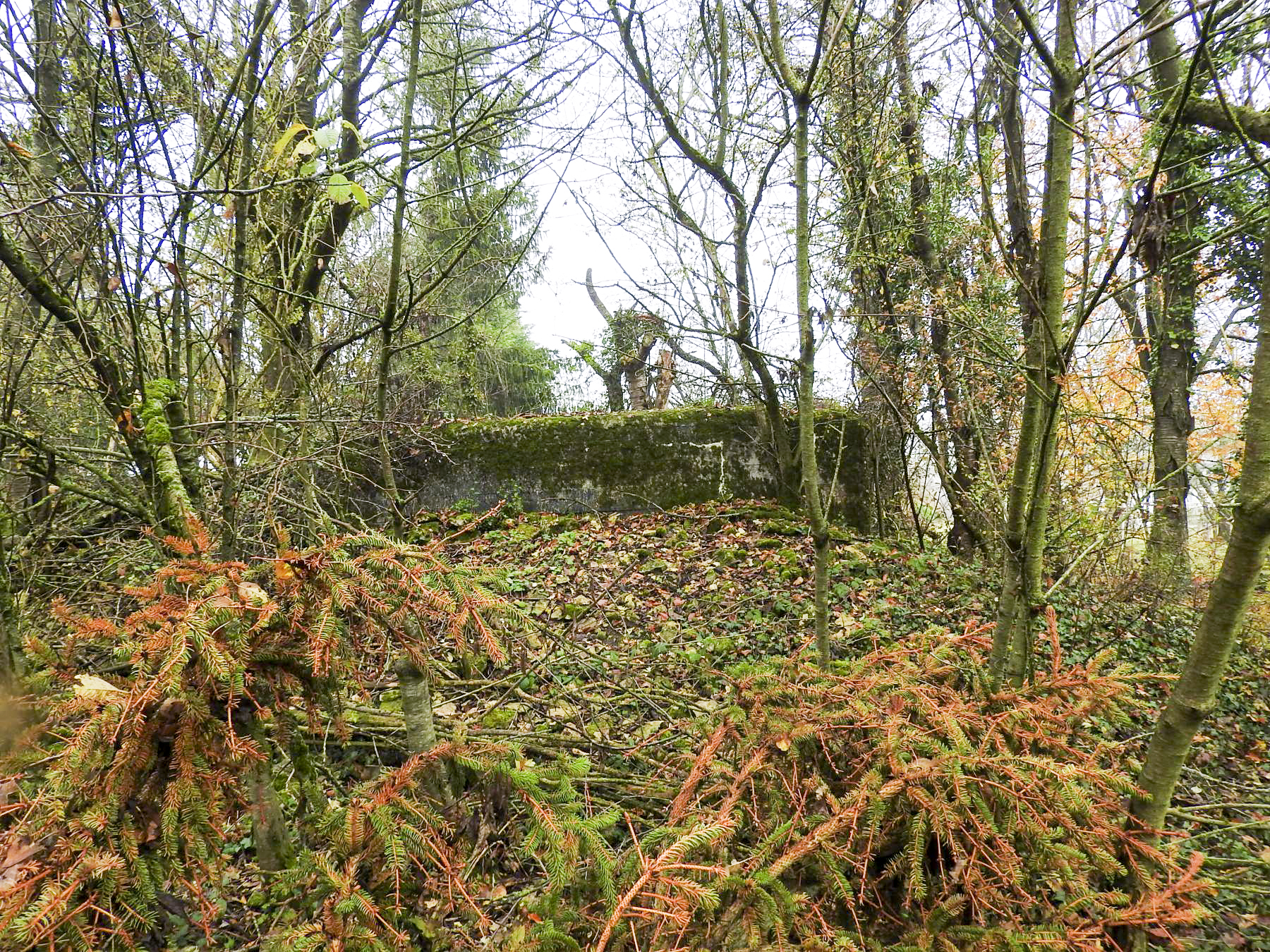 Ligne Maginot - GROSSEN FELD CENTRE - (Blockhaus de type indéterminé) - L'avant et la façade de tir sont remblayés. - STENGER Mathieu