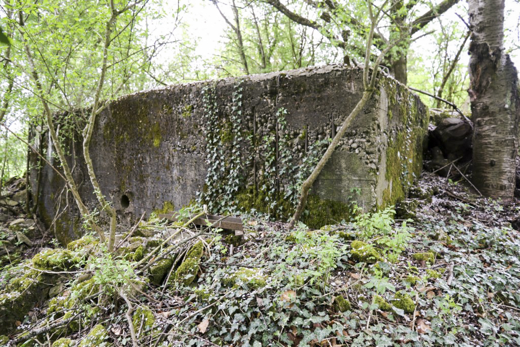 Ligne Maginot - GROSSEN FELD CENTRE - (Blockhaus de type indéterminé) -  - Alain Perouffe