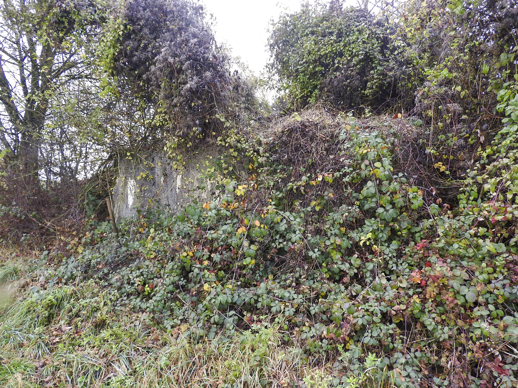 Ligne Maginot - ROUY 4 - (Blockhaus pour canon) - La seule partie du blockhaus encore visible en 2021. - STENGER Mathieu