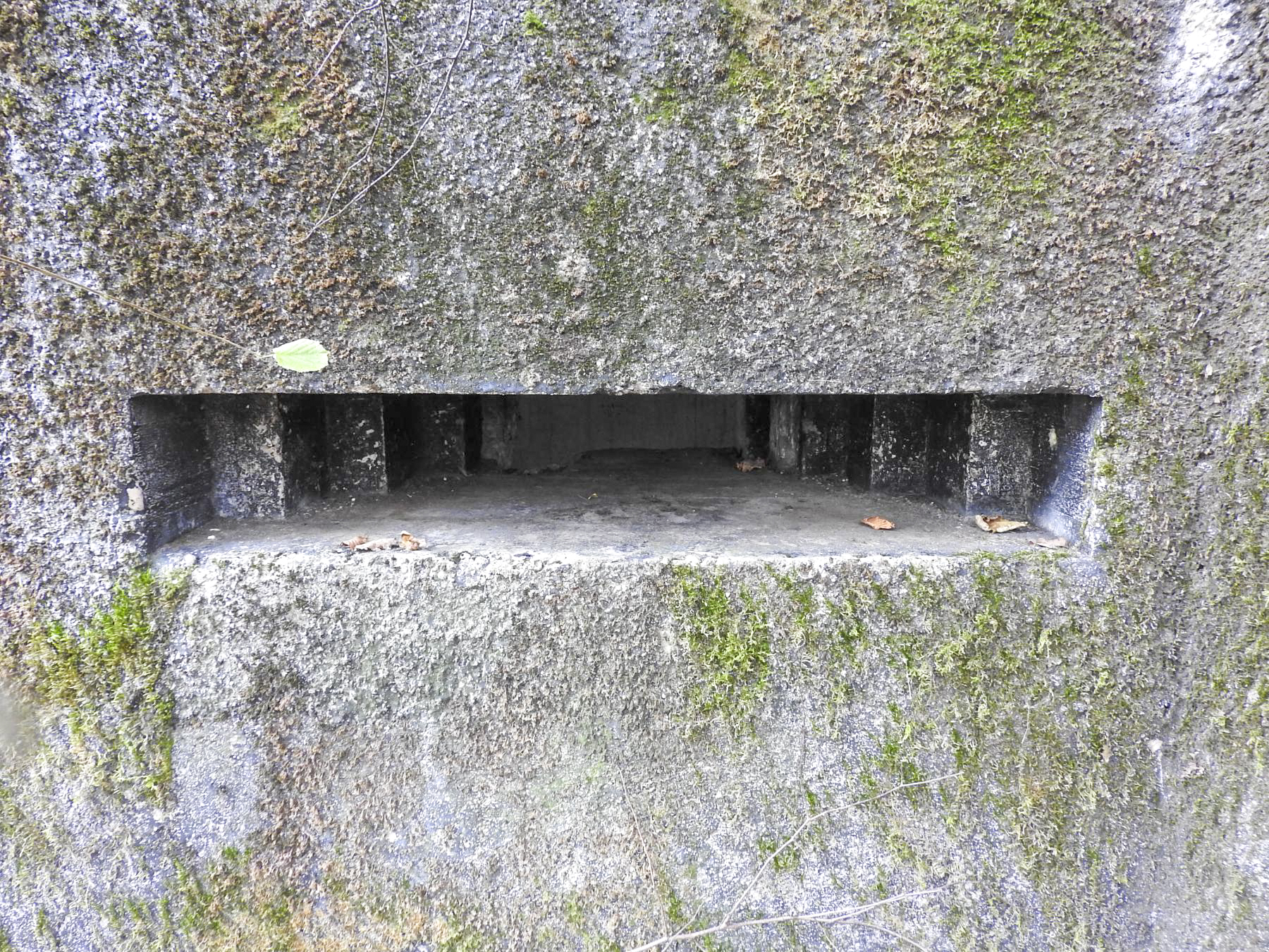 Ligne Maginot - ROUY 3 - (Blockhaus pour arme infanterie) - Le créneau. - STENGER Mathieu