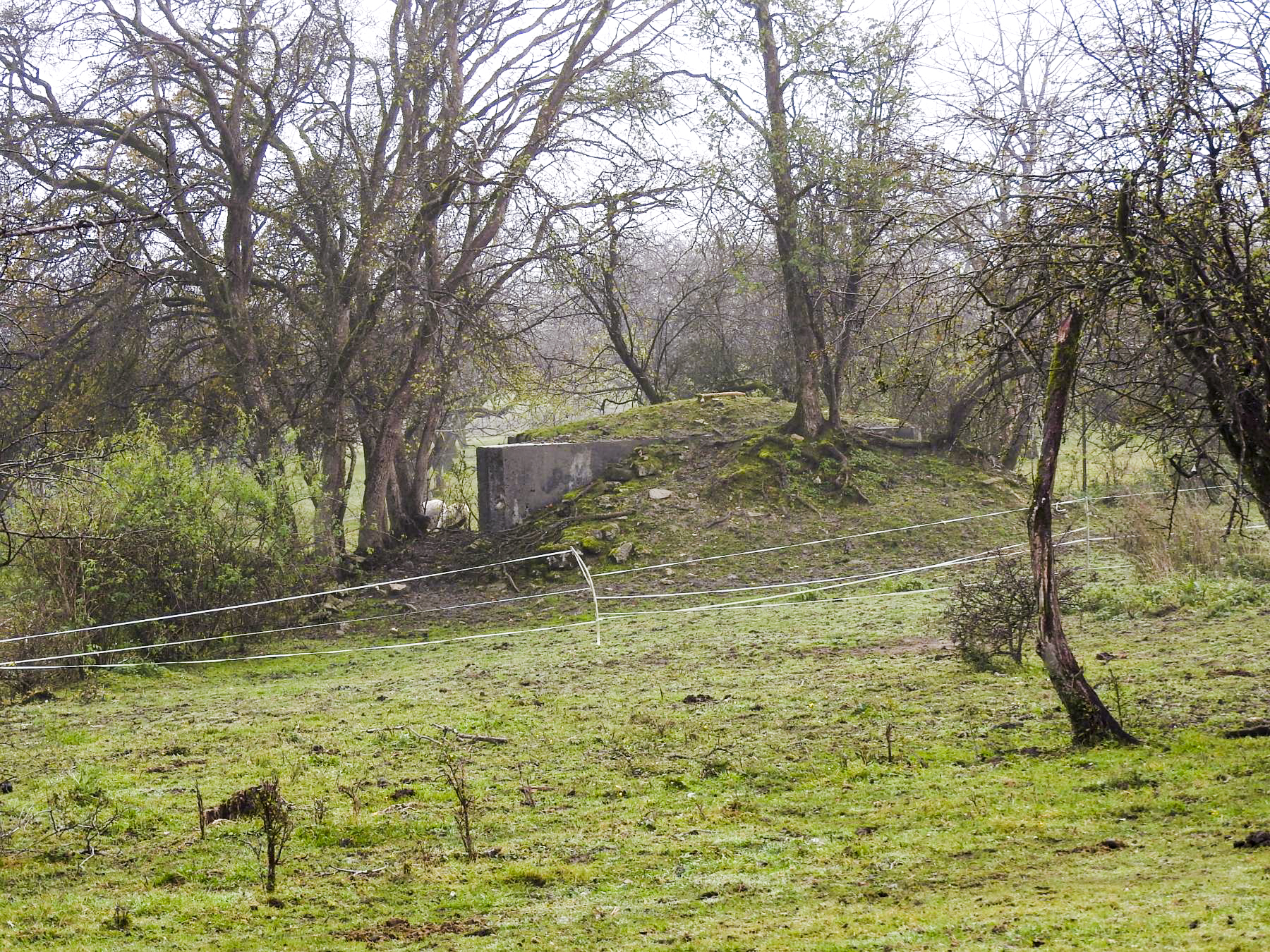 Ligne Maginot - FERME BRANDSTUDEN 2 - (Blockhaus pour arme infanterie) - Vue de l'autre côté. - STENGER Mathieu