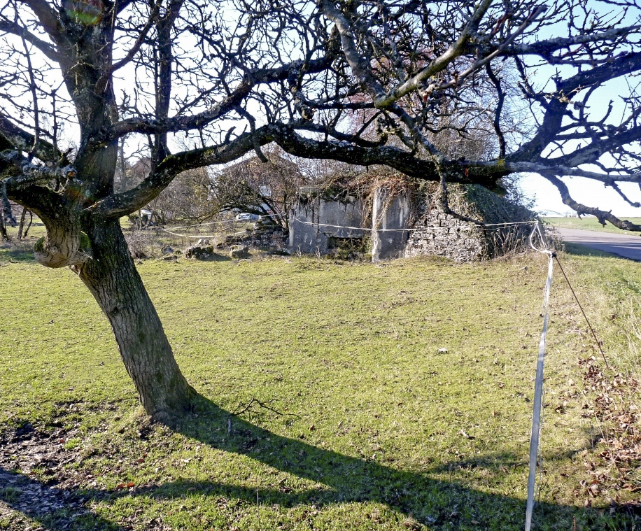 Ligne Maginot - FERME BRANDSTUDEN 4 - (Blockhaus pour canon) -  - sylvie laure lambert