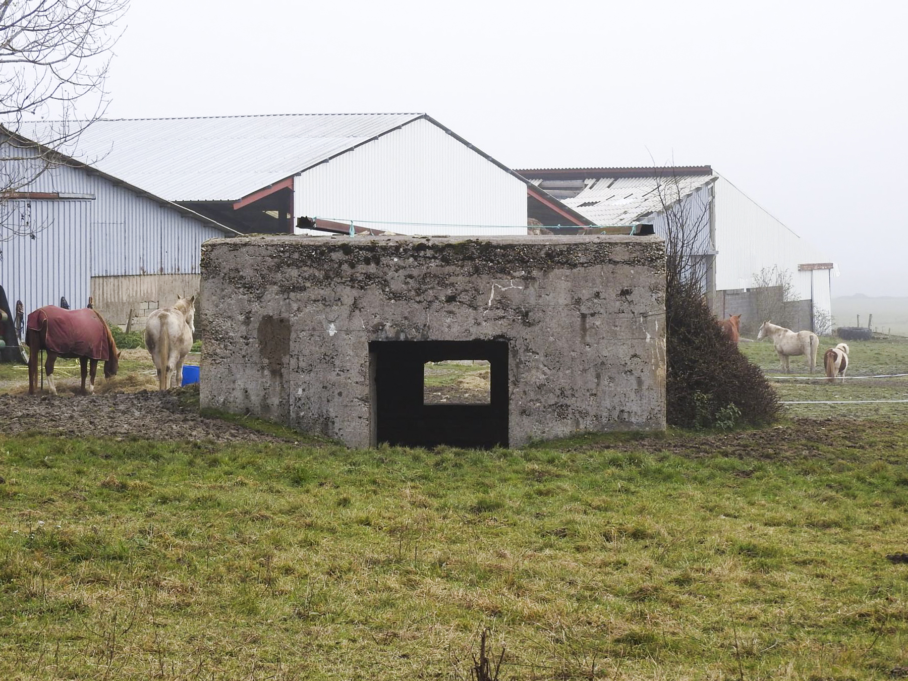 Ligne Maginot - FERME BRANDSTUDEN 1 - (Blockhaus pour canon) - L'entrée pour le canon anti-char. - STENGER Mathieu