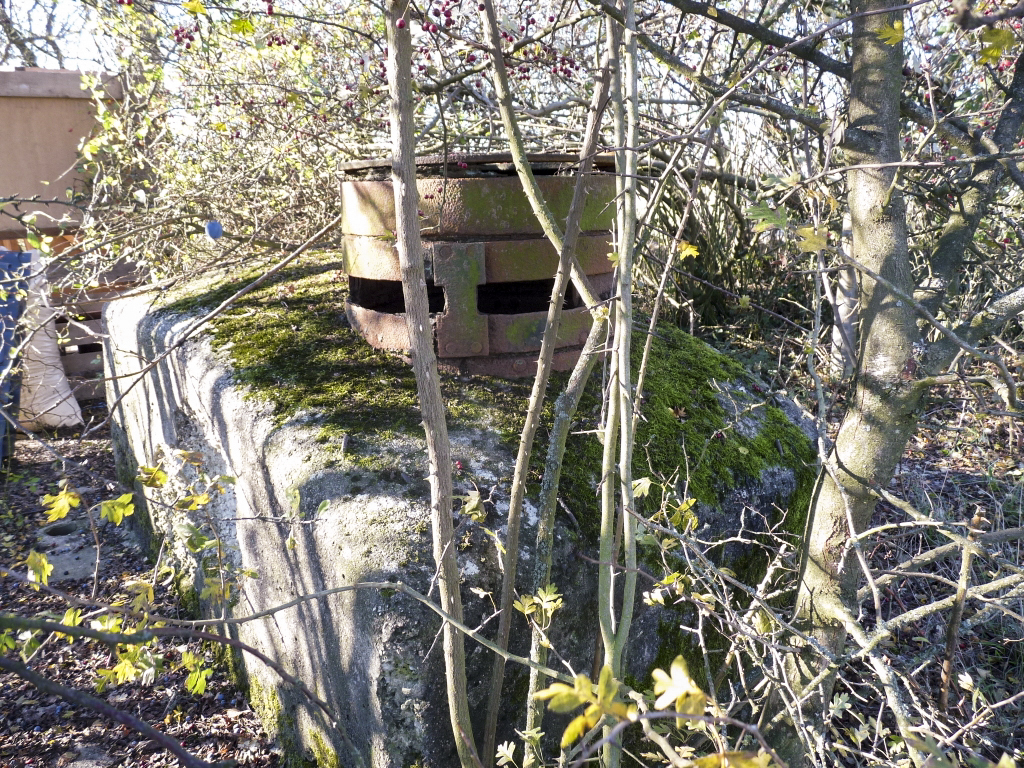 Ligne Maginot - FERME BRANDSTUDEN - (Observatoire d'infanterie) -  - Sylvie Laure LAMBERT