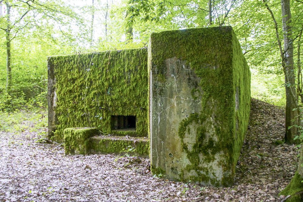 Ligne Maginot - CB310 - ZEITERHOLZ - (Blockhaus pour arme infanterie) -  - Michel Teiten