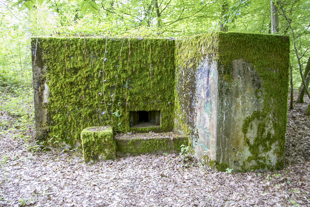 Ligne Maginot - CB310 - ZEITERHOLZ - (Blockhaus pour arme infanterie) -  - Michel Teiten
