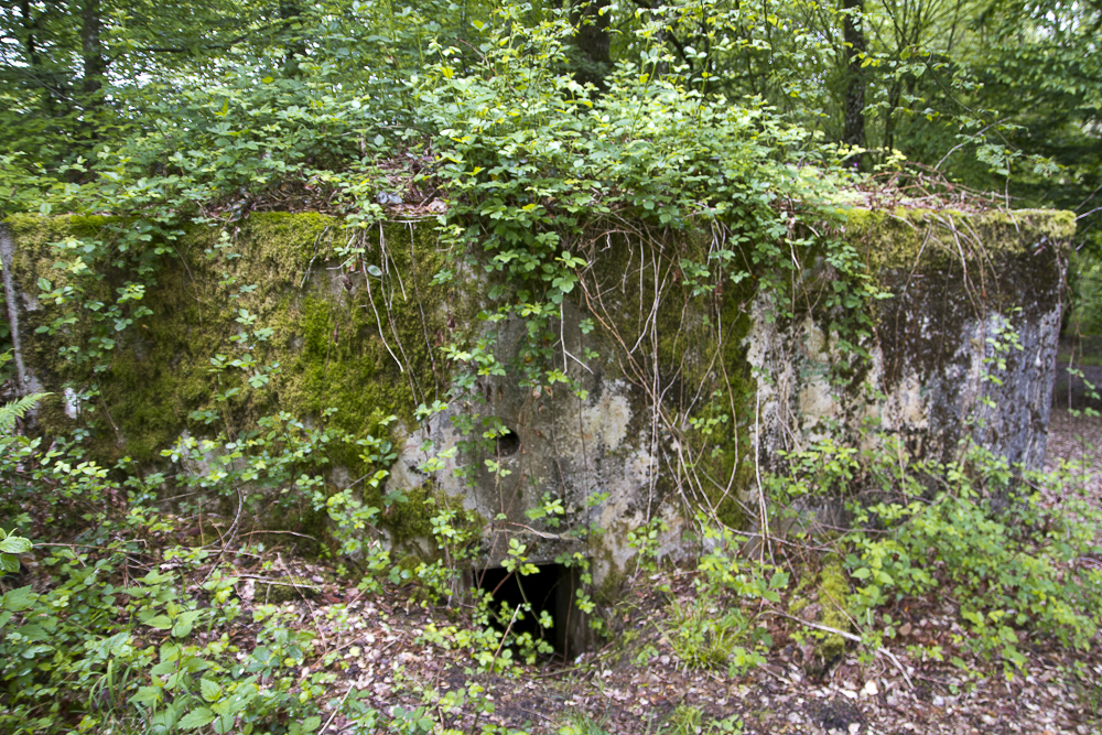 Ligne Maginot - CB310 - ZEITERHOLZ - (Blockhaus pour arme infanterie) -  - Michel Teiten