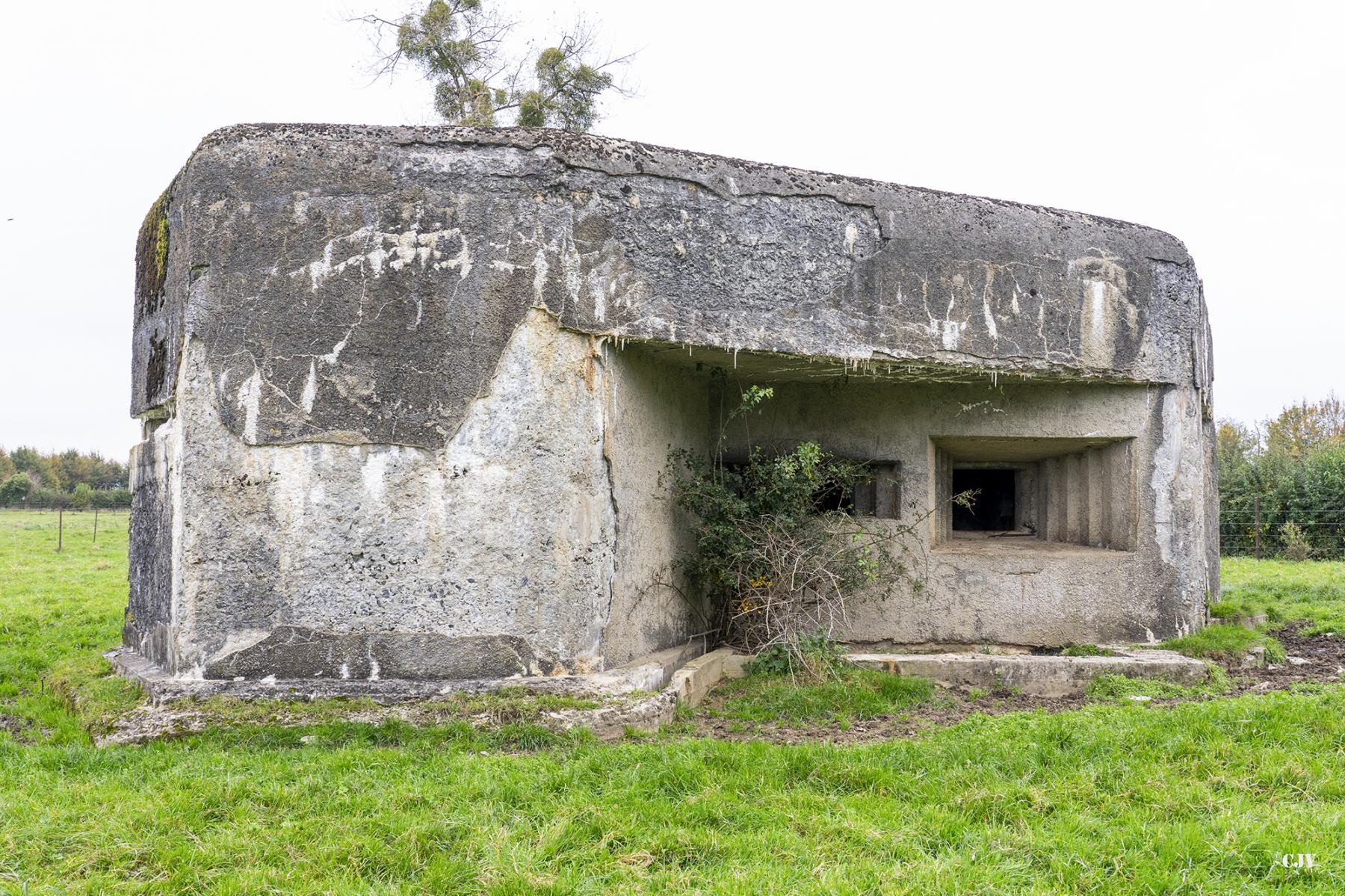 Ligne Maginot - MANDENNE - (Blockhaus lourd type STG / STG-FCR - Simple) - Les deux créneaux - Lia VERMEULEN