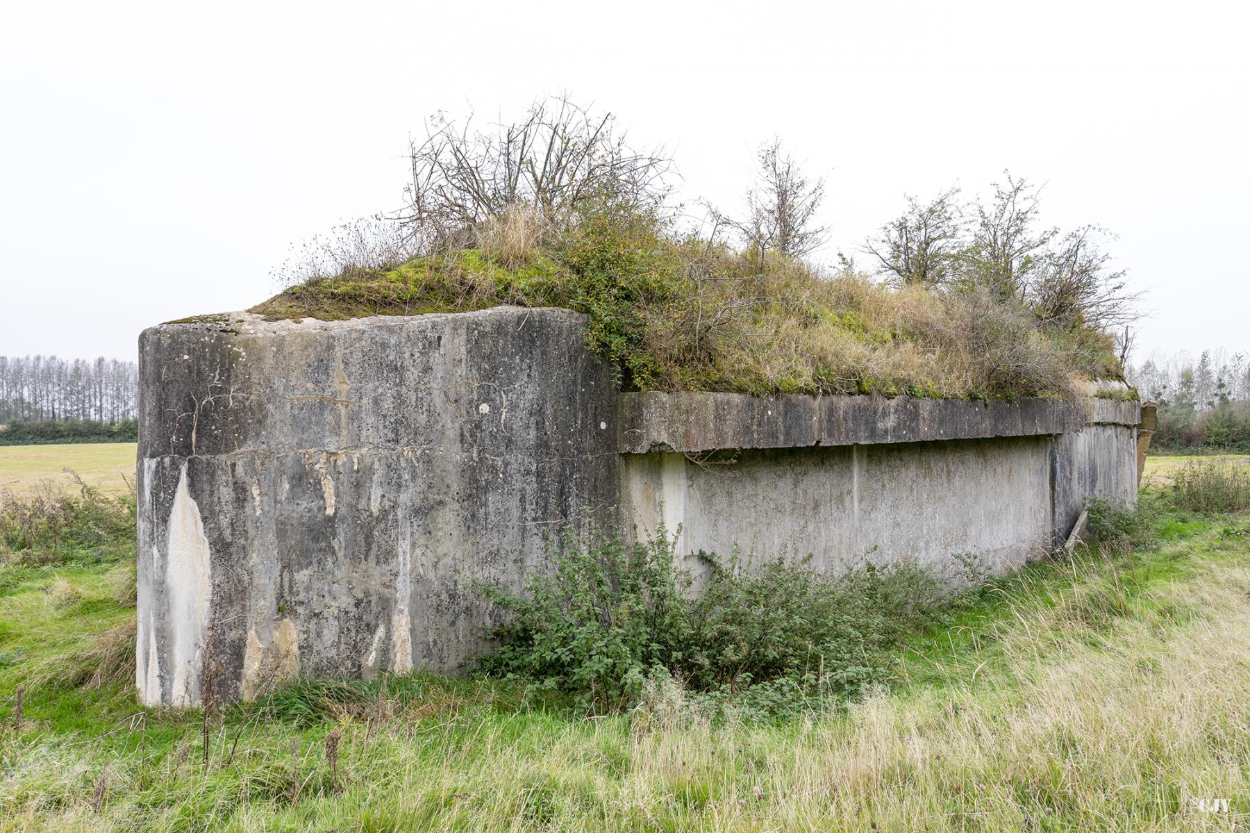 Ligne Maginot - C17 - GOMMEGNIES EST - (Casemate d'infanterie) - Le talus a été retiré - Lia VERMEULEN