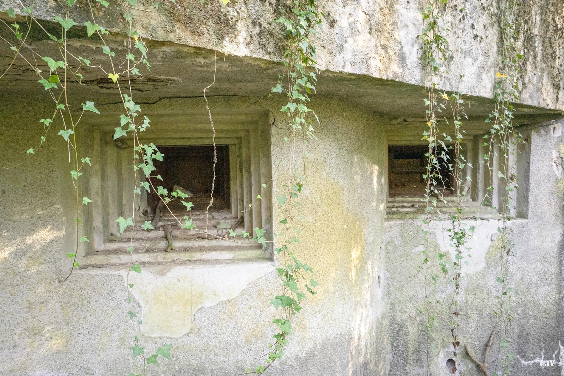 Ligne Maginot - C23 - VIVIER NUTHIAU OUEST - (Casemate d'infanterie) - Les créneaux - Lia VERMEULEN