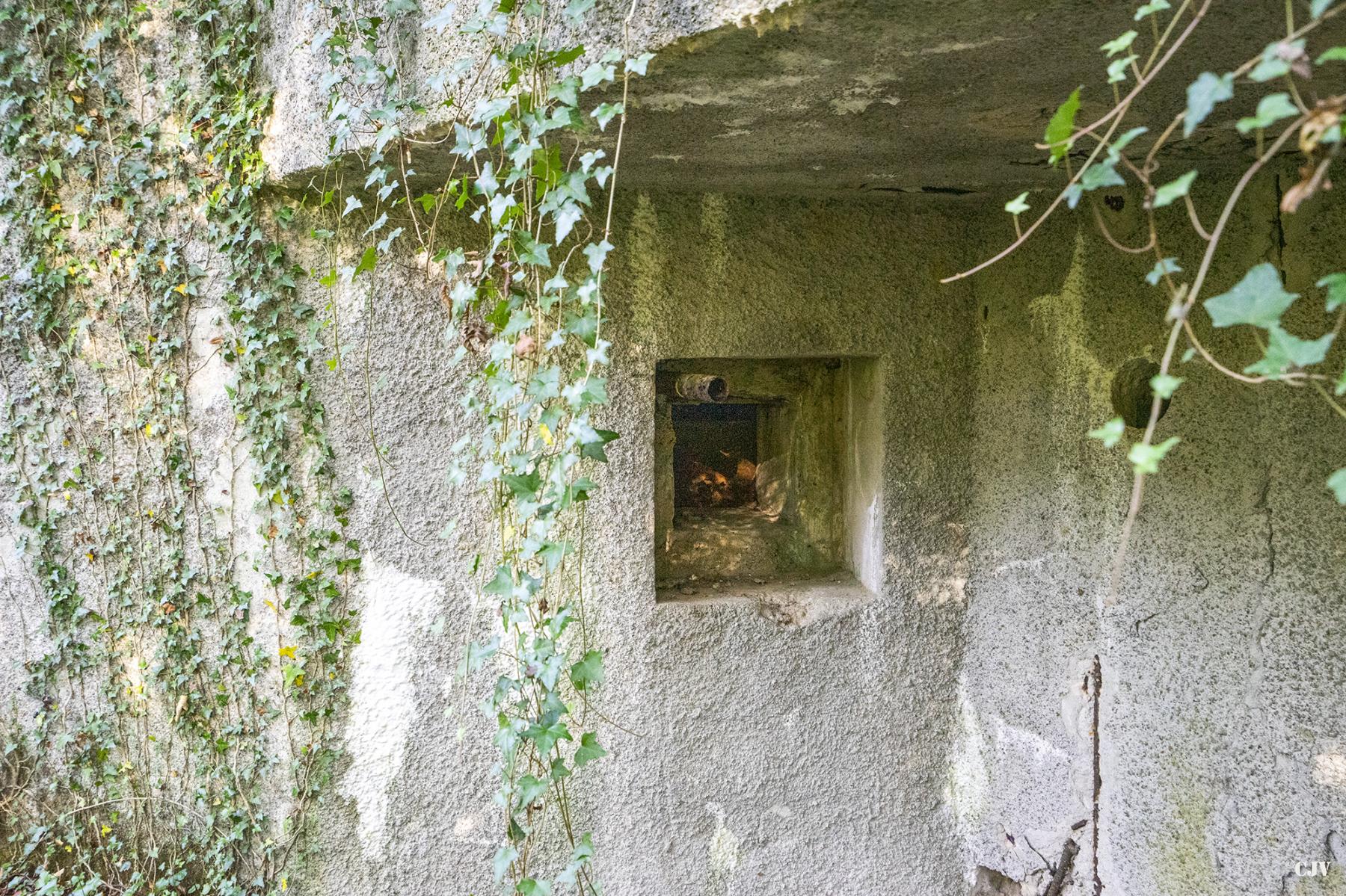 Ligne Maginot - C23 - VIVIER NUTHIAU OUEST - (Casemate d'infanterie) - Le créneau de flanquement de la façade - Lia VERMEULEN