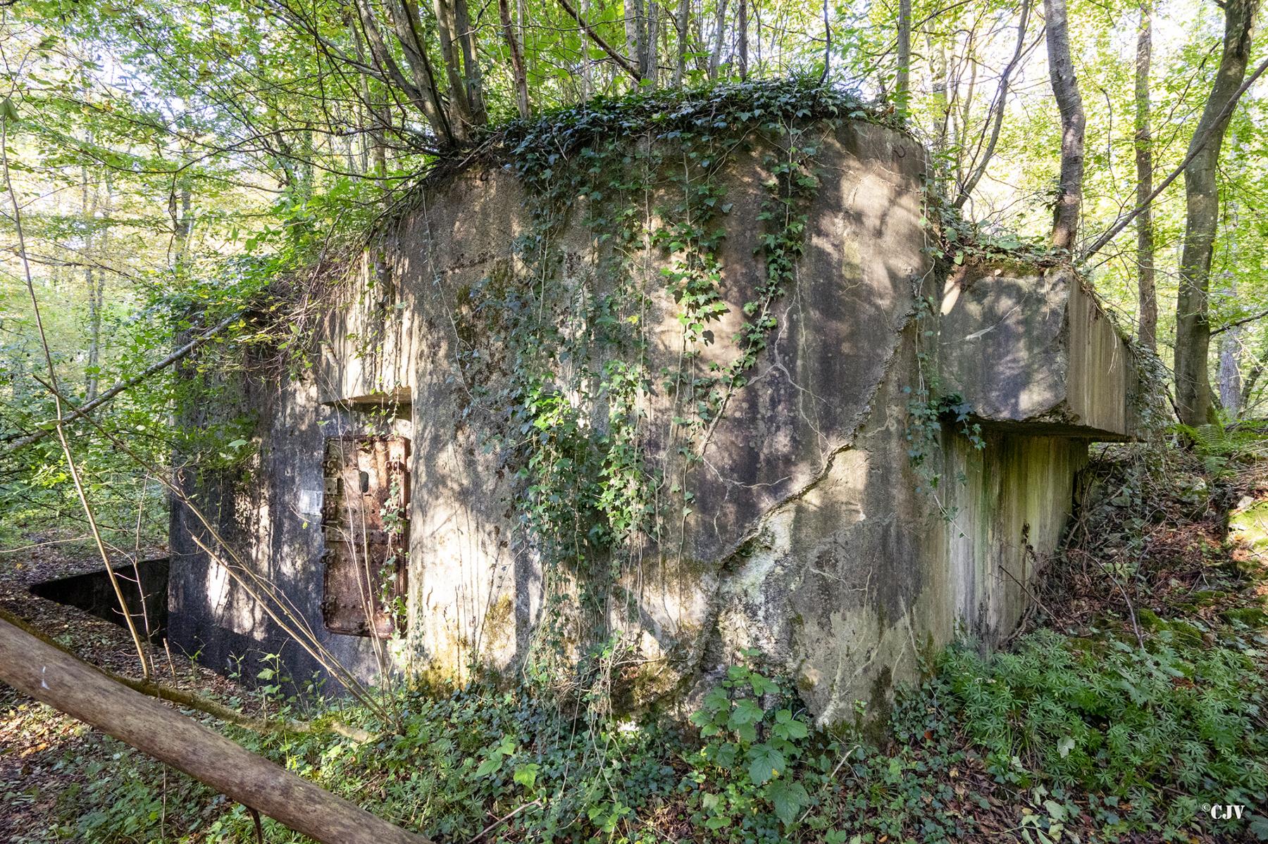 Ligne Maginot - C23 - VIVIER NUTHIAU OUEST - (Casemate d'infanterie) - Le talus manque par endroits - Lia VERMEULEN