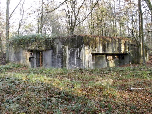 Ligne Maginot - C24 - VIVIER NUTHIAU EST - (Casemate d'infanterie) -  - AALMA - www.lignemaginot.com
