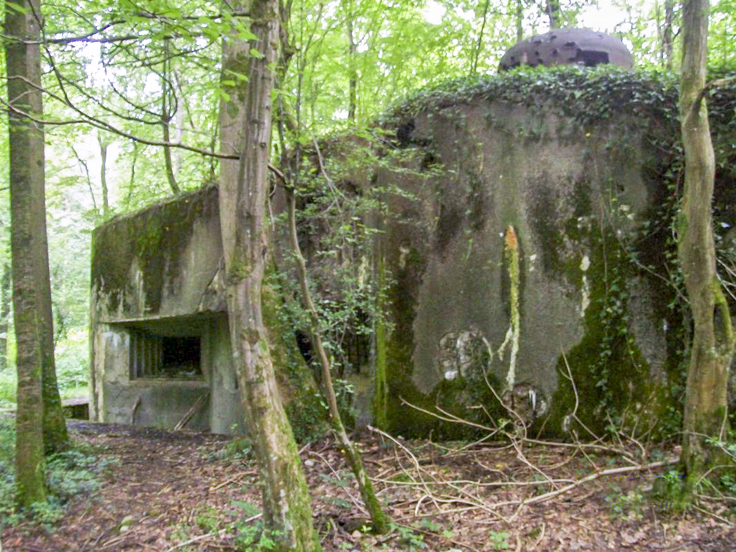 Ligne Maginot - C24 - VIVIER NUTHIAU EST - (Casemate d'infanterie) -  - Eric BEUGNIES