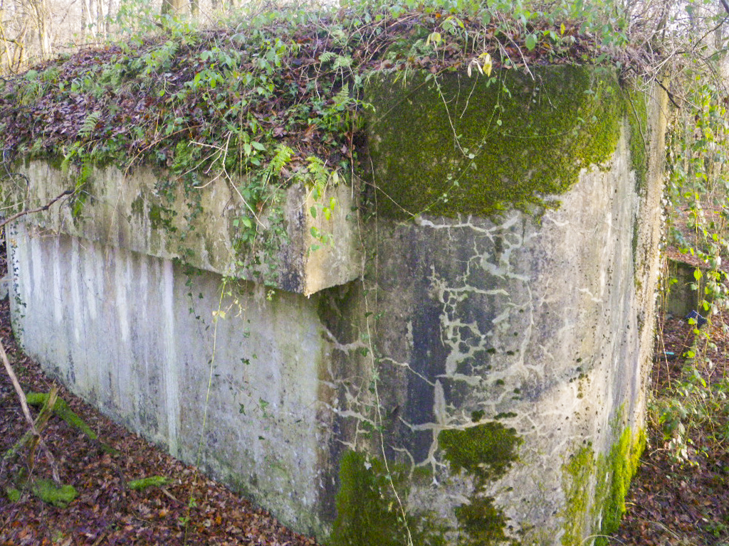 Ligne Maginot - C24 - VIVIER NUTHIAU EST - (Casemate d'infanterie) - La face sud dé-rocaillée - Decayeux Jérôme