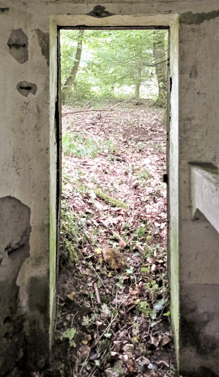 Ligne Maginot - FM14 - VERLORENERBACH 2 - (Blockhaus pour arme infanterie) - L'entrée - Baptiste GAUDIN