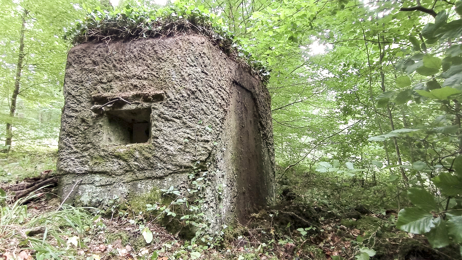 Ligne Maginot - FM14 - VERLORENERBACH 2 - (Blockhaus pour arme infanterie) - Créneau Nord-Est - Baptiste GAUDIN
