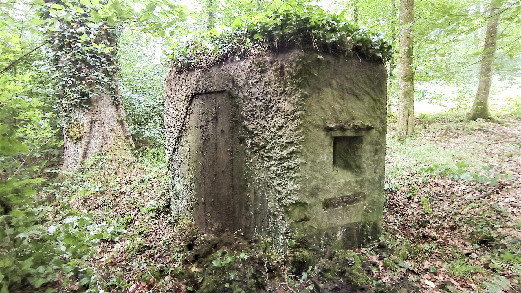 Ligne Maginot - FM14 - VERLORENERBACH 2 - (Blockhaus pour arme infanterie) - Façade frontale et Créneau Nord-Ouest - Baptiste GAUDIN