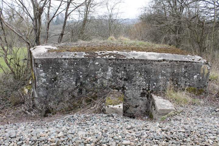 Ligne Maginot - BARRAGE 2 - (Blockhaus pour arme infanterie) - L'entrée - Christian LENHARD