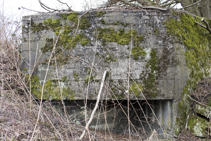 Ligne Maginot - BARRAGE 3 - (Blockhaus pour arme infanterie) - Créneau mitrailleuse - Christian LENHARD