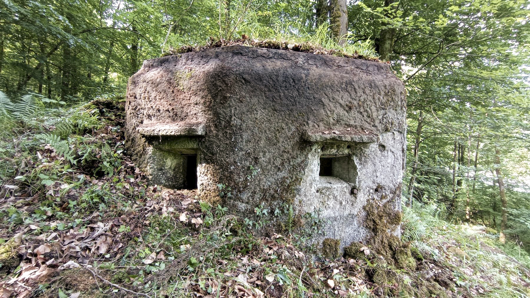 Ligne Maginot - FM15 - VERLORENERBACH 1 - (Blockhaus pour arme infanterie) -  - Baptiste GAUDIN