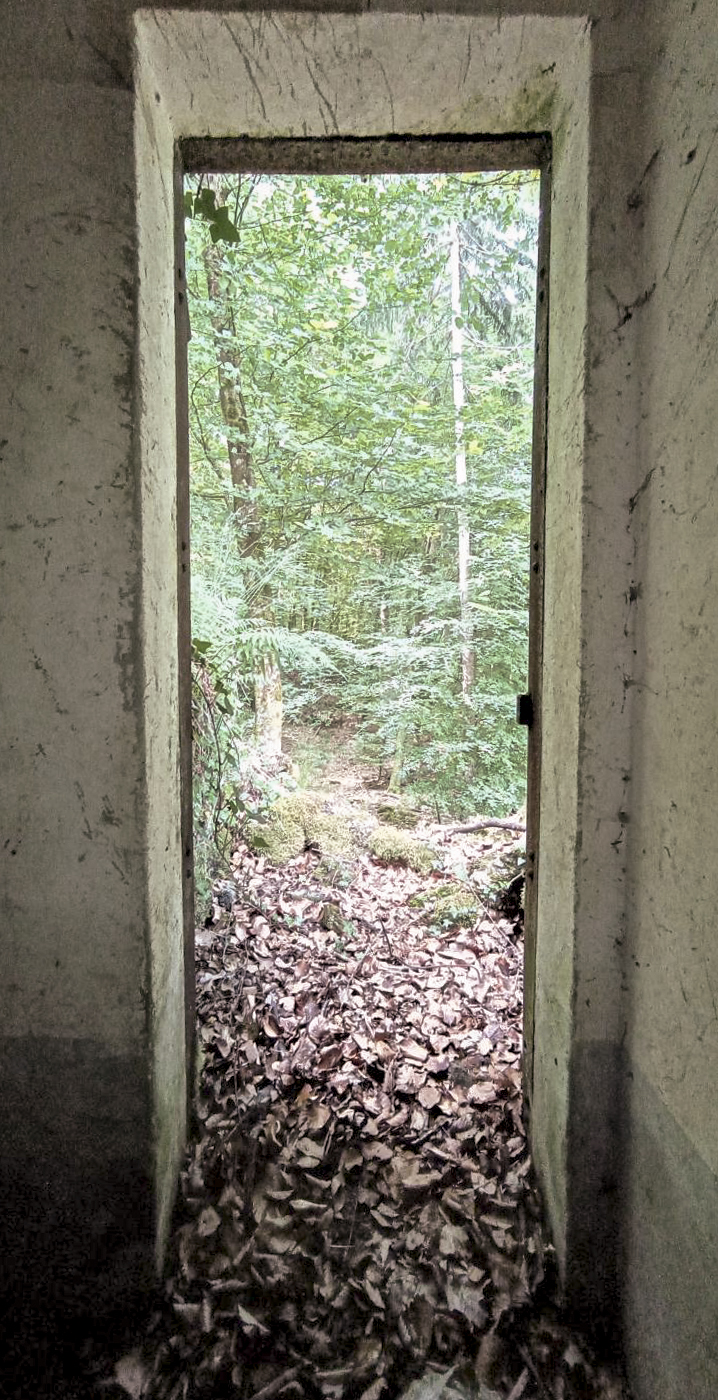 Ligne Maginot - FM15 - VERLORENERBACH 1 - (Blockhaus pour arme infanterie) - L'entrée - Baptiste GAUDIN