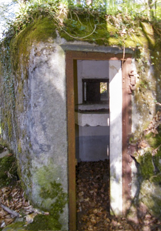 Ligne Maginot - FM15 - VERLORENERBACH 1 - (Blockhaus pour arme infanterie) -  - Jean-Louis AUBLET & Sylvie MAINGUIN