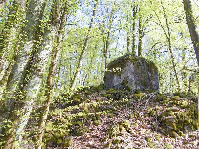 Ligne Maginot - FM15 - VERLORENERBACH 1 - (Blockhaus pour arme infanterie) -  - Jean-Louis AUBLET & Sylvie MAINGUIN