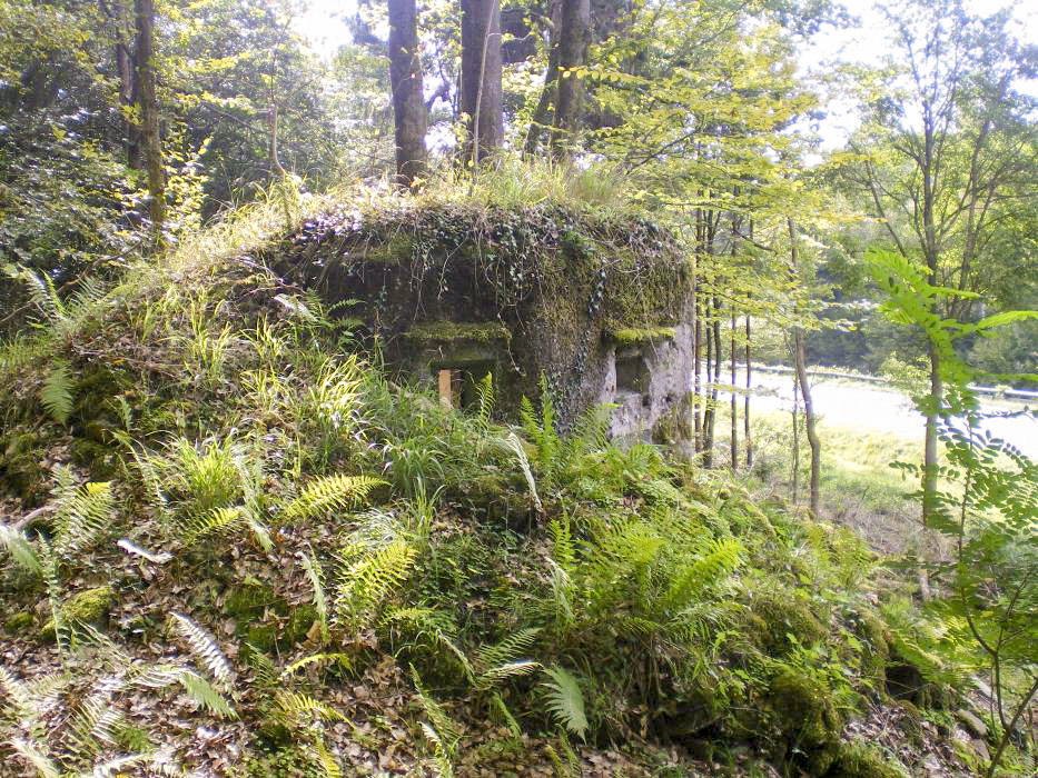 Ligne Maginot - FM15 - VERLORENERBACH 1 - (Blockhaus pour arme infanterie) -  - donceuh