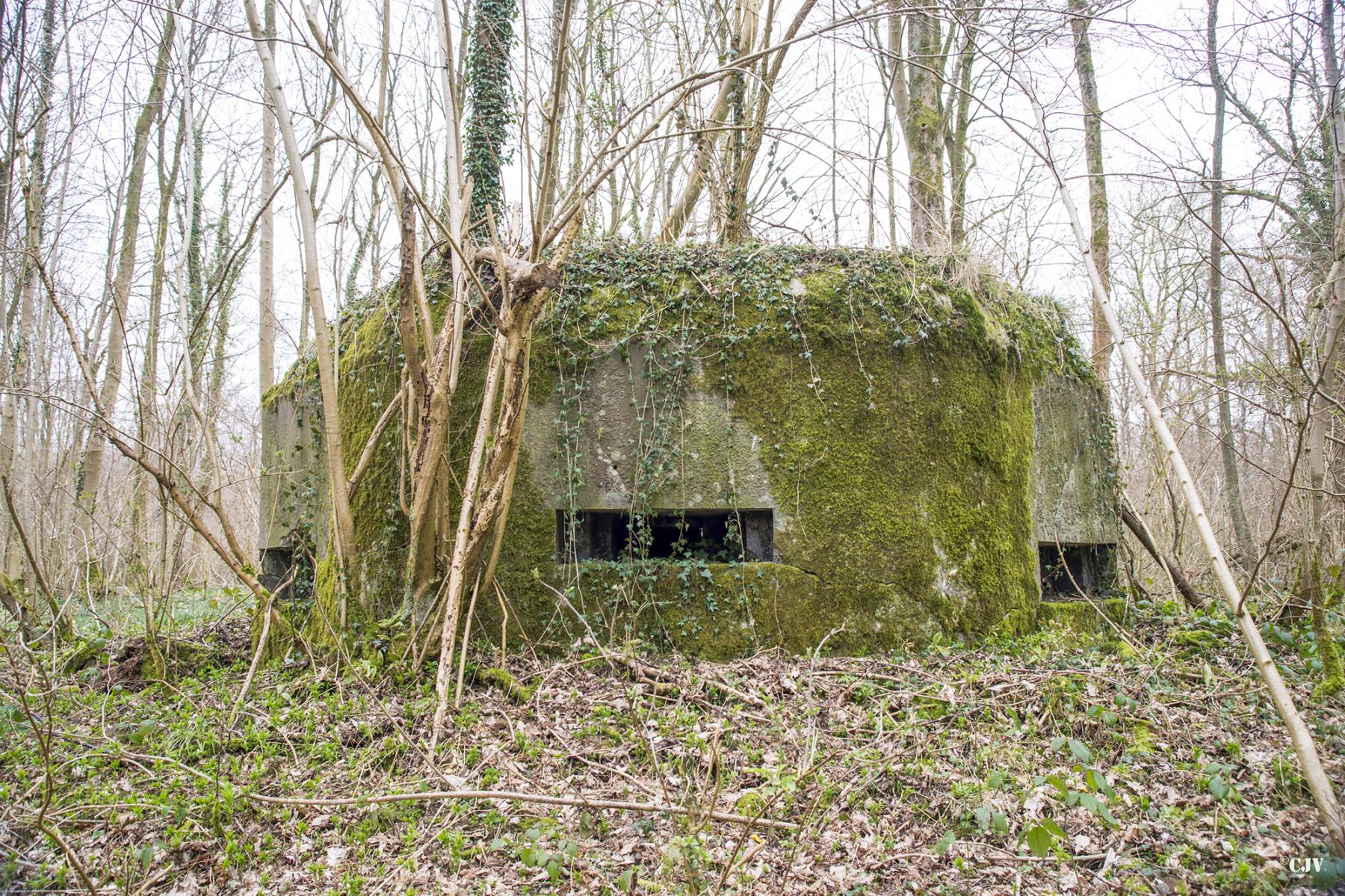 Ligne Maginot - B588 - BOIS DES LANIERES 1 - (Blockhaus pour canon) -  - Lia VERMEULEN