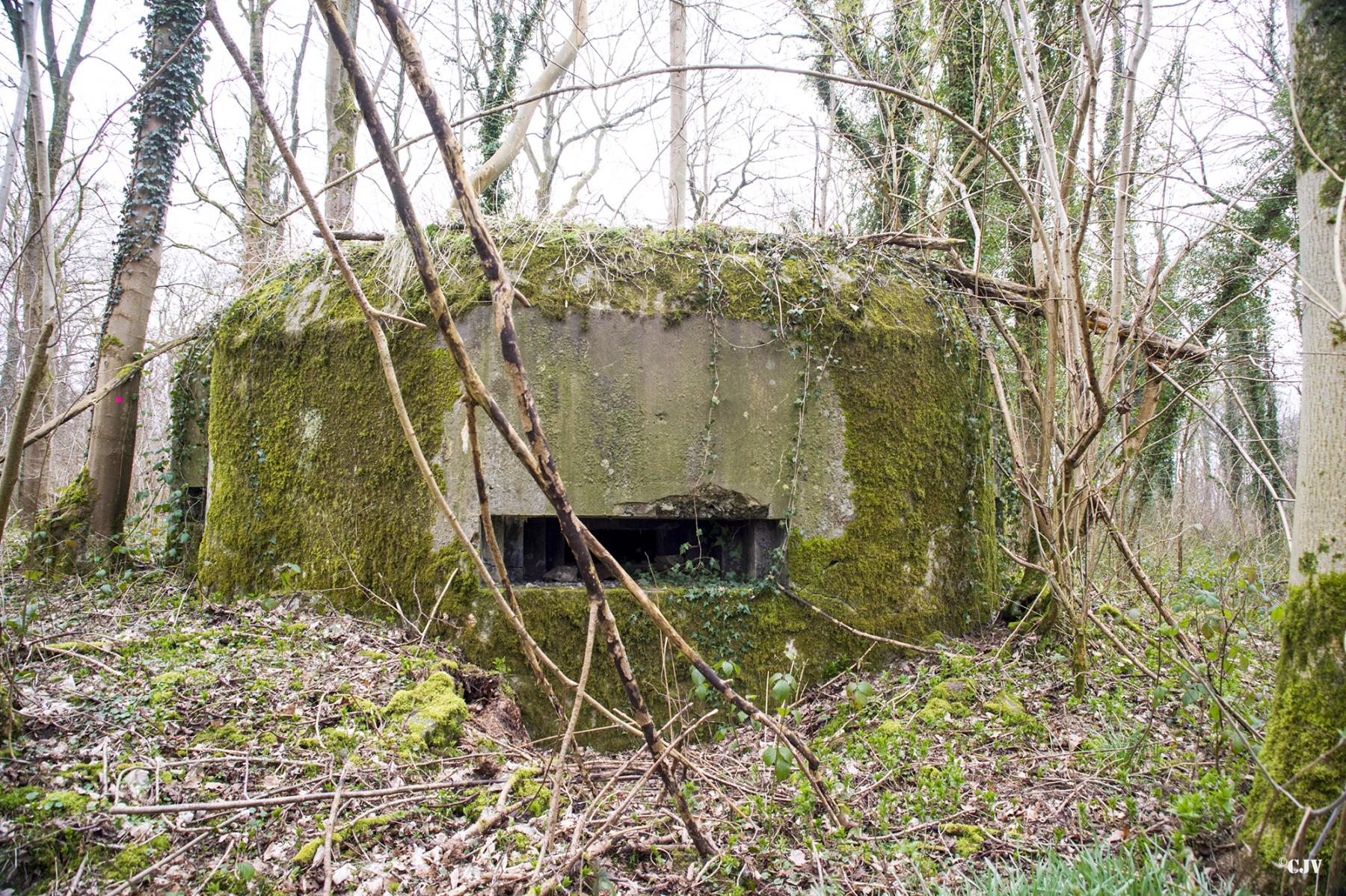 Ligne Maginot - B588 - BOIS DES LANIERES 1 - (Blockhaus pour canon) -  - Lia VERMEULEN