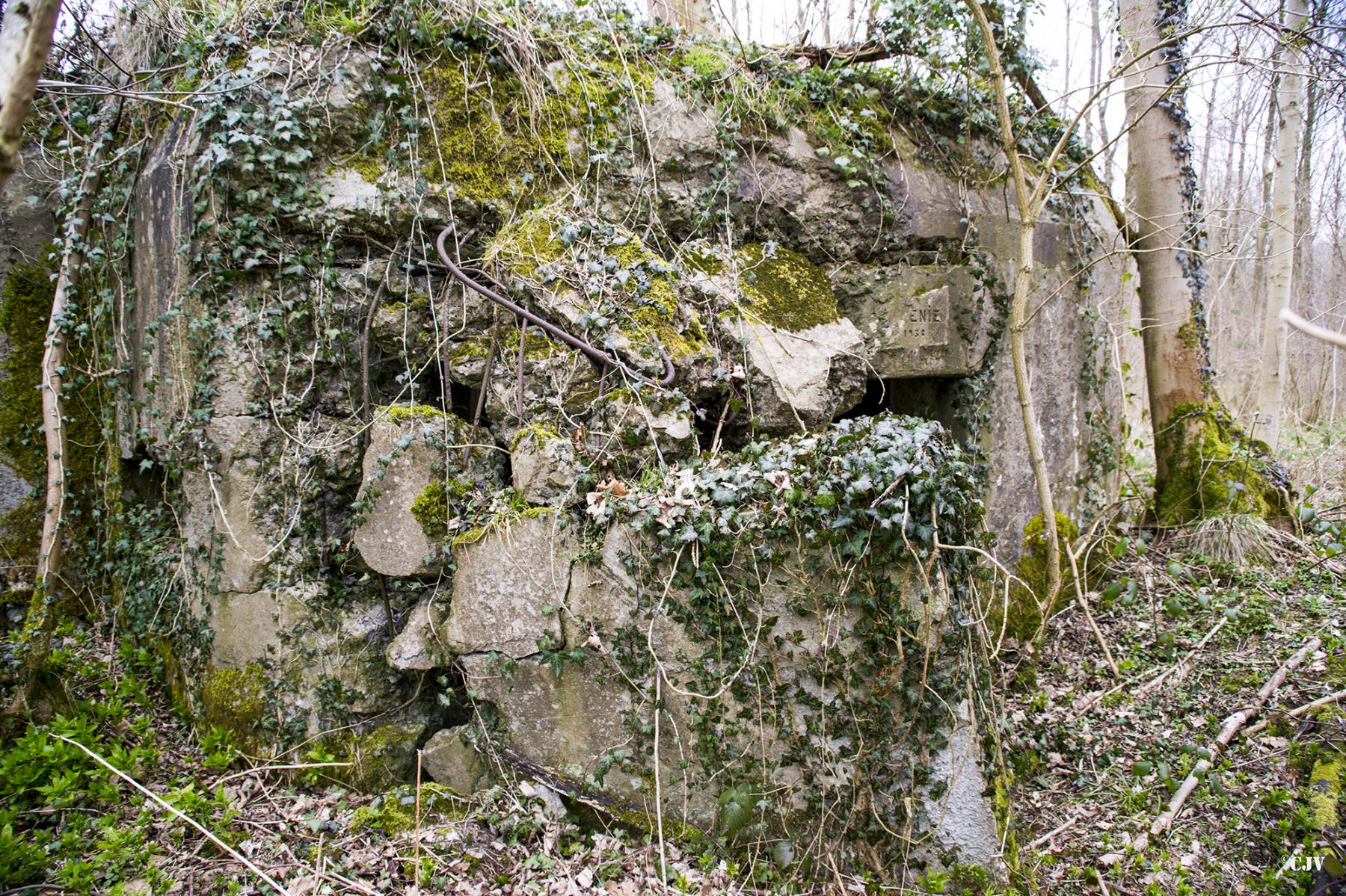 Ligne Maginot - B588 - BOIS DES LANIERES 1 - (Blockhaus pour canon) -  - Lia VERMEULEN