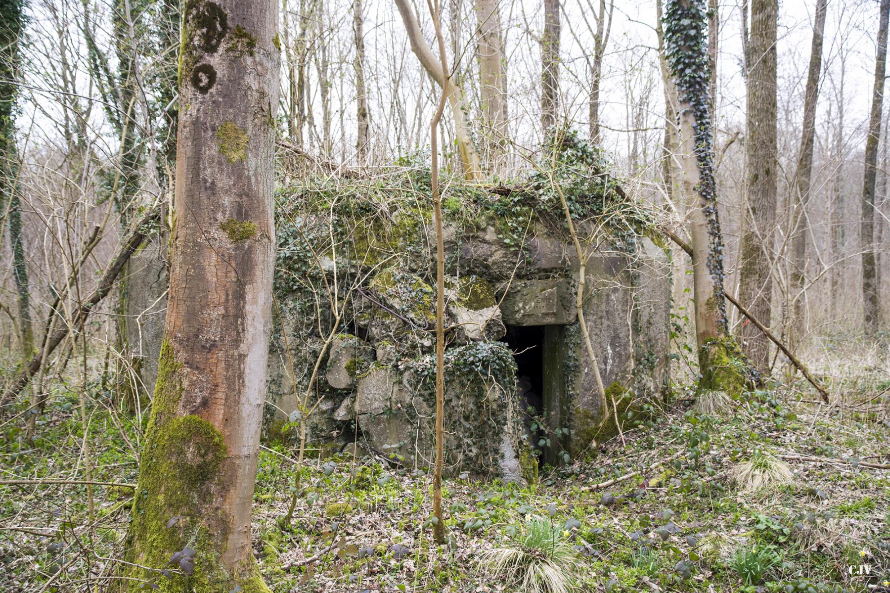 Ligne Maginot - B588 - BOIS DES LANIERES 1 - (Blockhaus pour canon) -  - Lia VERMEULEN