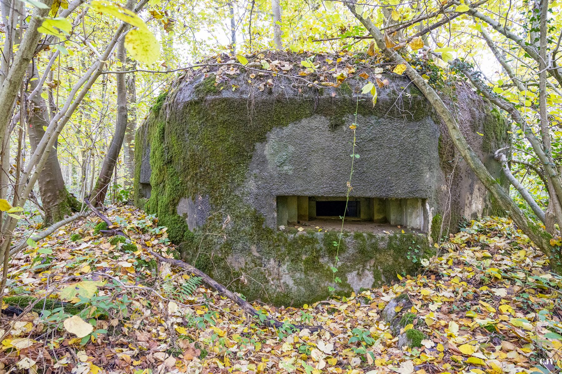 Ligne Maginot - B589 - BOIS DES LANIERES 2 - (Blockhaus pour canon) -  - Lia VERMEULEN