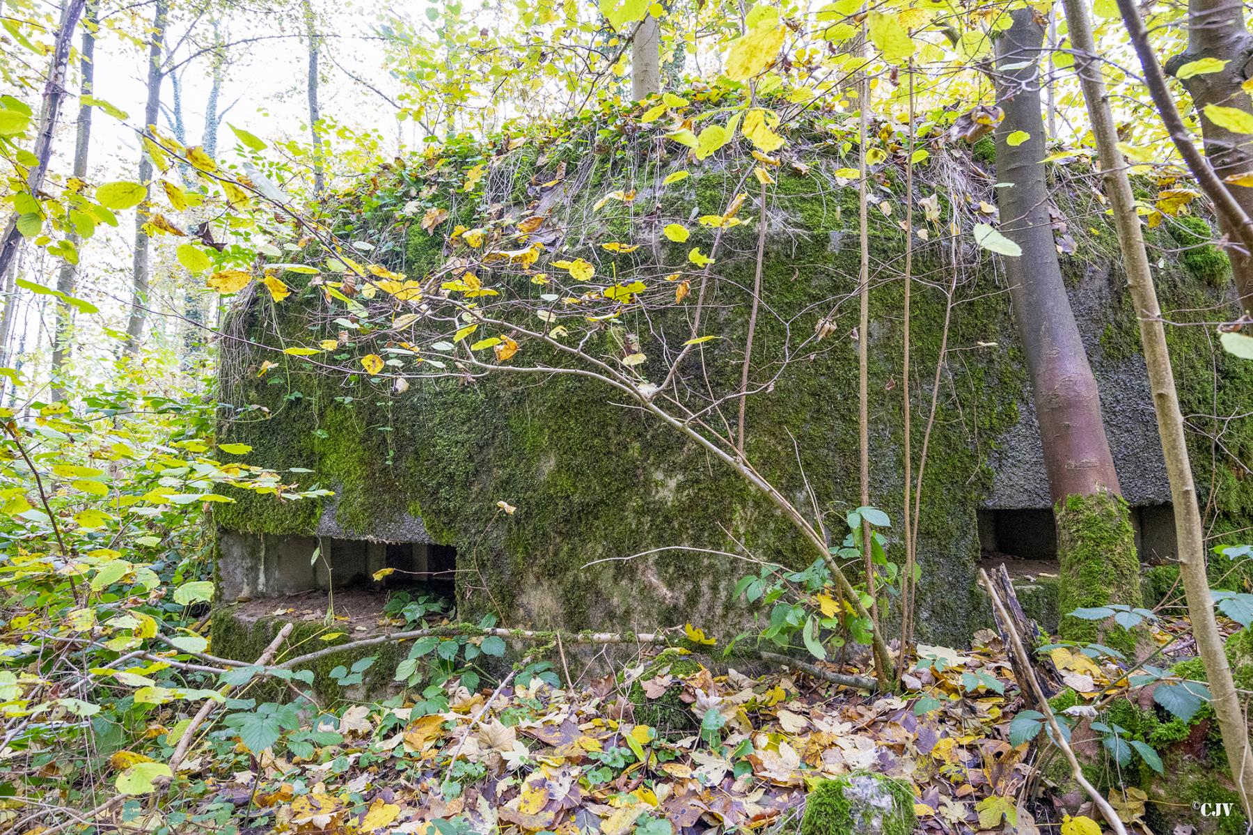 Ligne Maginot - B589 - BOIS DES LANIERES 2 - (Blockhaus pour canon) -  - Lia VERMEULEN