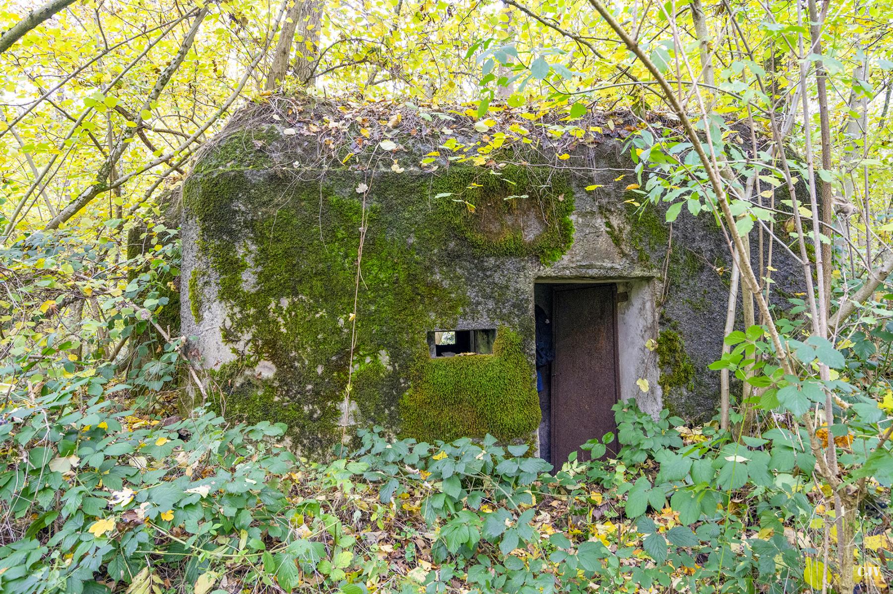 Ligne Maginot - B589 - BOIS DES LANIERES 2 - (Blockhaus pour canon) -  - Lia VERMEULEN
