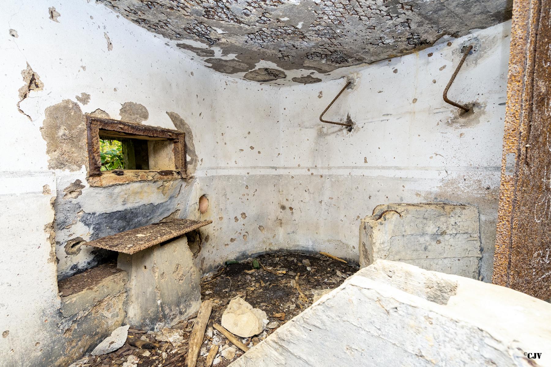 Ligne Maginot - B589 - BOIS DES LANIERES 2 - (Blockhaus pour canon) -  - Lia VERMEULEN
