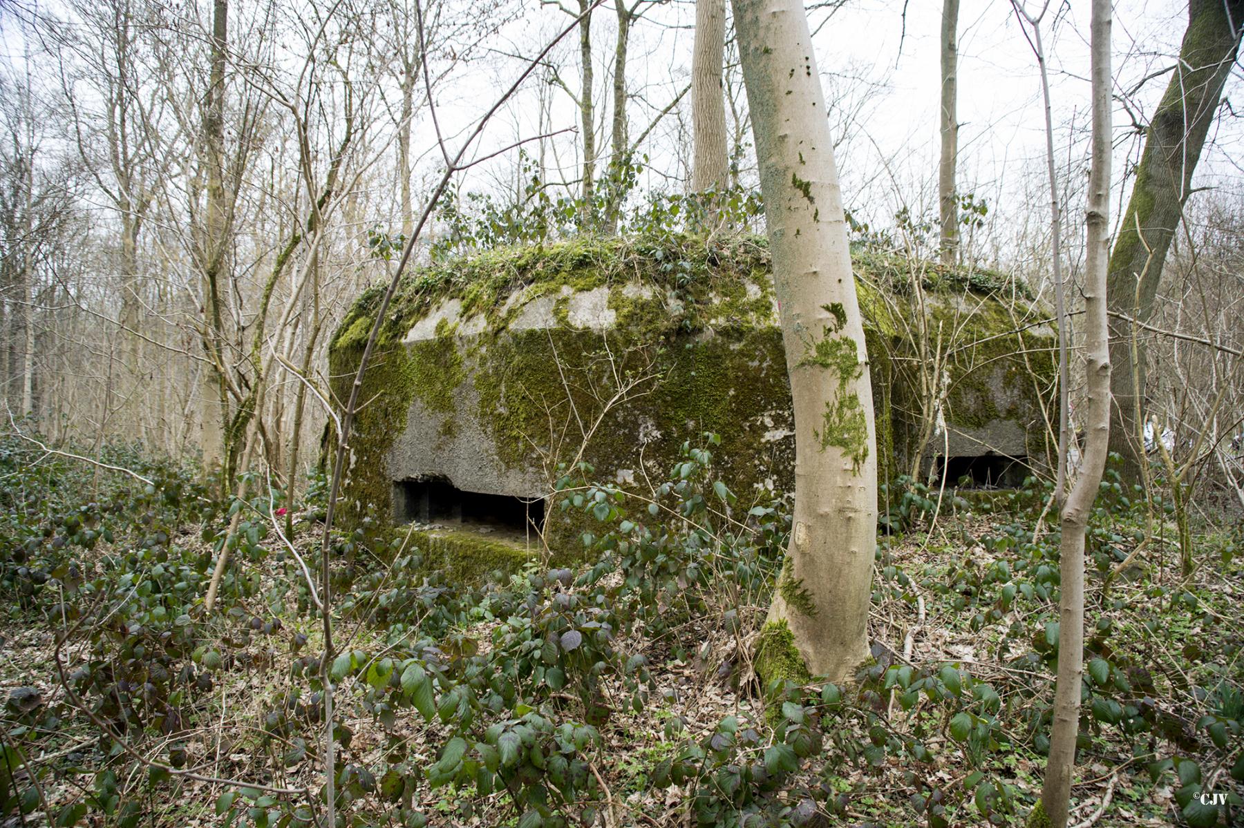 Ligne Maginot - B590 - BOIS DES LANIERES 3 - (Blockhaus pour canon) -  - Lia VERMEULEN