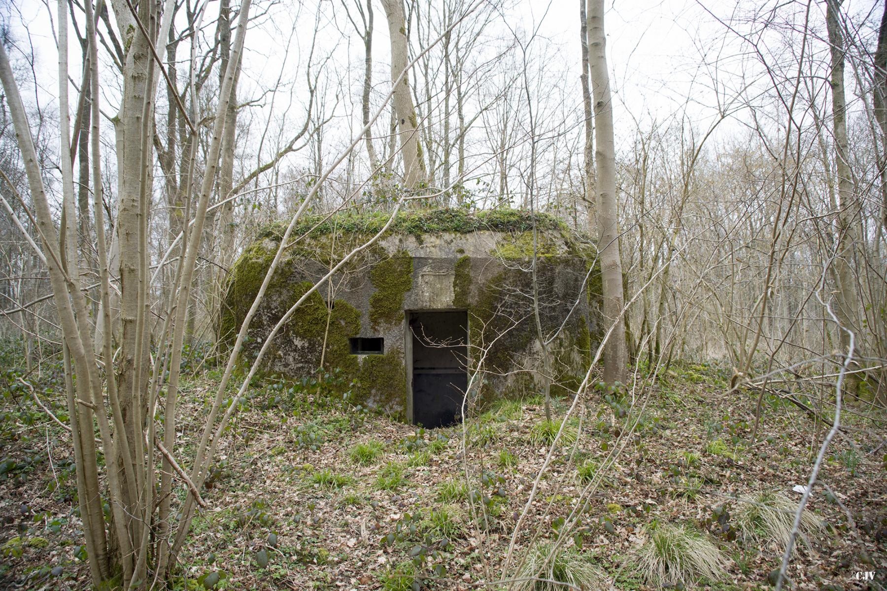 Ligne Maginot - B590 - BOIS DES LANIERES 3 - (Blockhaus pour canon) -  - Lia VERMEULEN