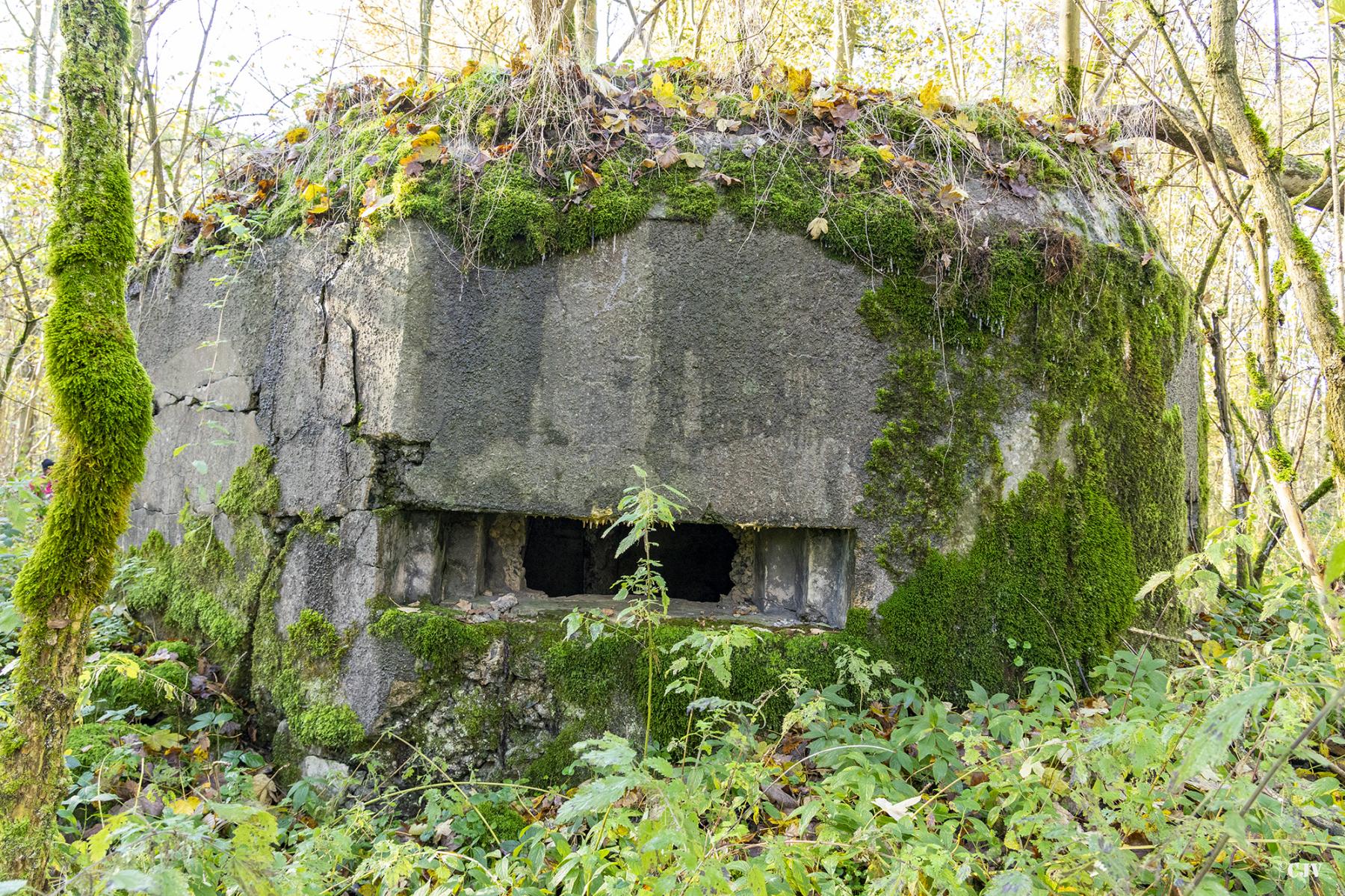 Ligne Maginot - B592 - BOIS DES LANIERES 4 - (Blockhaus pour canon) -  - Lia VERMEULEN