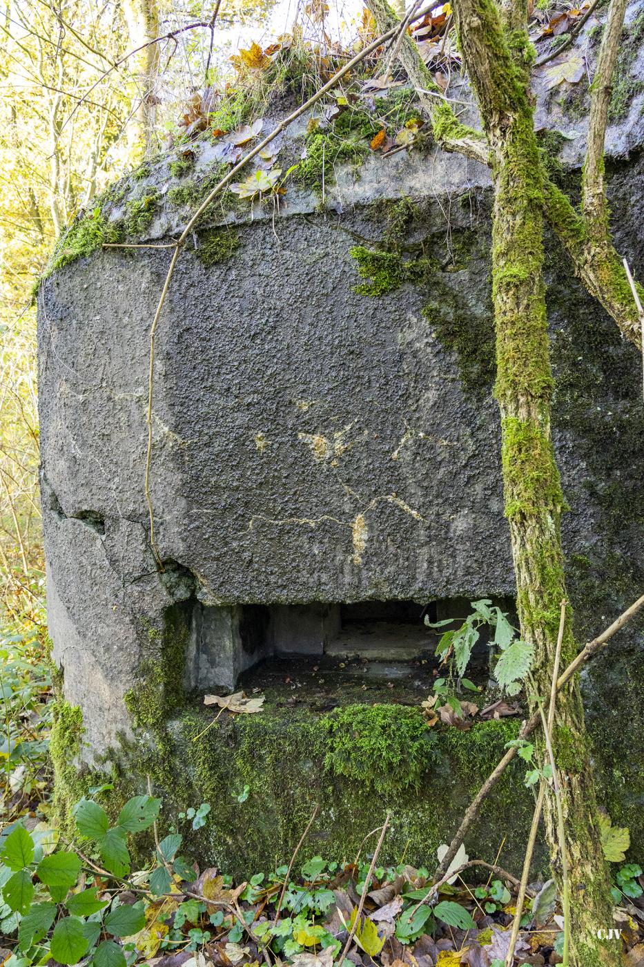 Ligne Maginot - B592 - BOIS DES LANIERES 4 - (Blockhaus pour canon) -  - Lia VERMEULEN