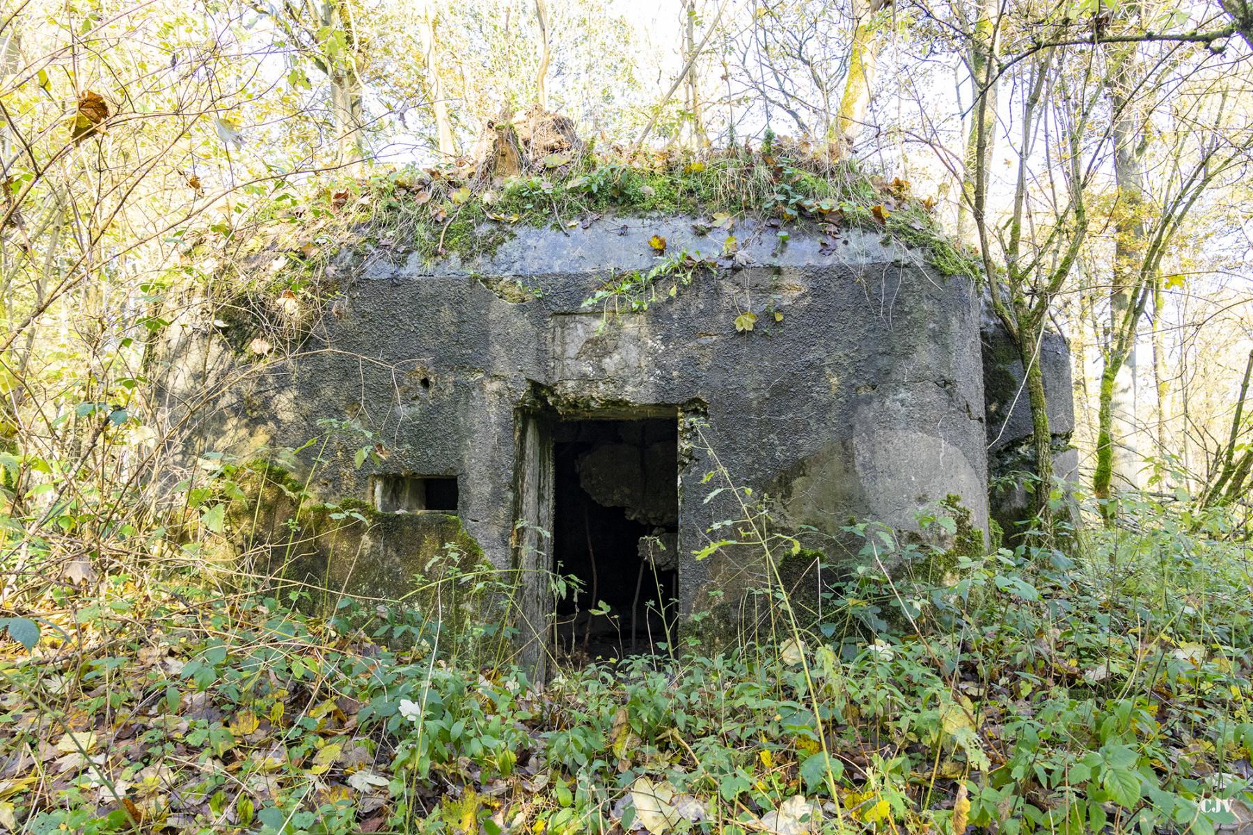 Ligne Maginot - B592 - BOIS DES LANIERES 4 - (Blockhaus pour canon) -  - Lia VERMEULEN