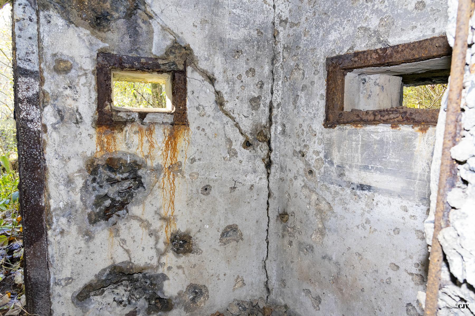 Ligne Maginot - B592 - BOIS DES LANIERES 4 - (Blockhaus pour canon) -  - Lia VERMEULEN