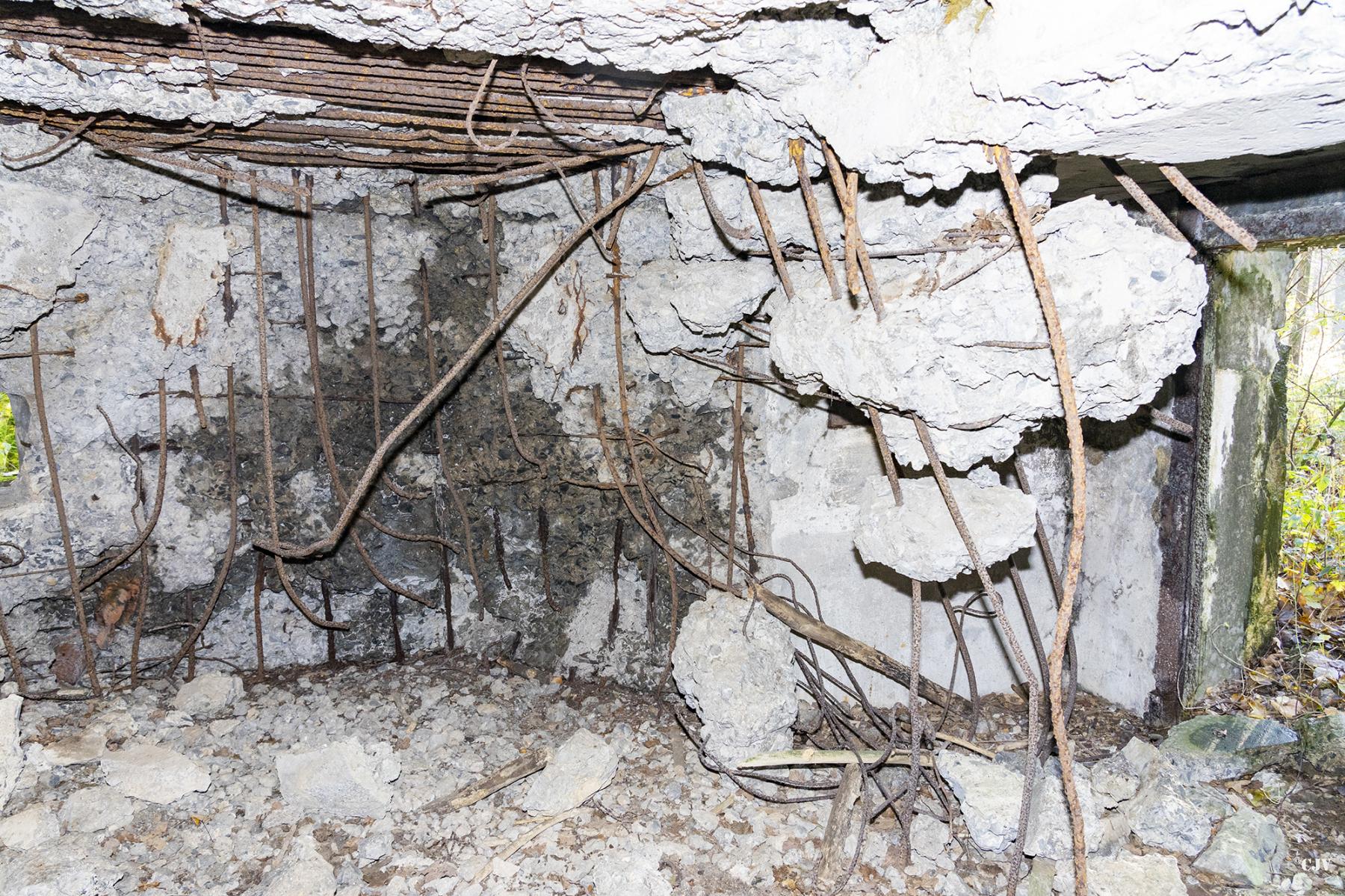 Ligne Maginot - B592 - BOIS DES LANIERES 4 - (Blockhaus pour canon) -  - Lia VERMEULEN