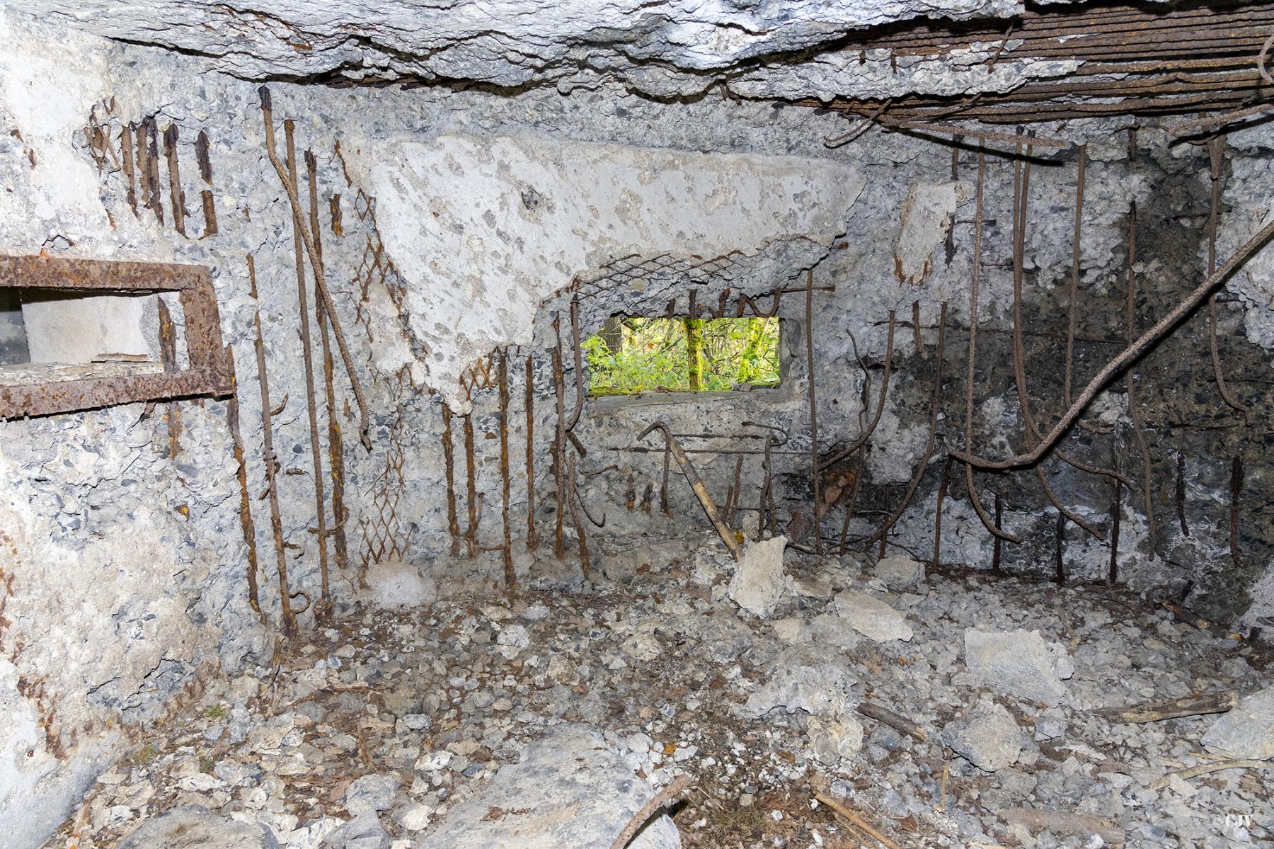 Ligne Maginot - B592 - BOIS DES LANIERES 4 - (Blockhaus pour canon) -  - Lia VERMEULEN