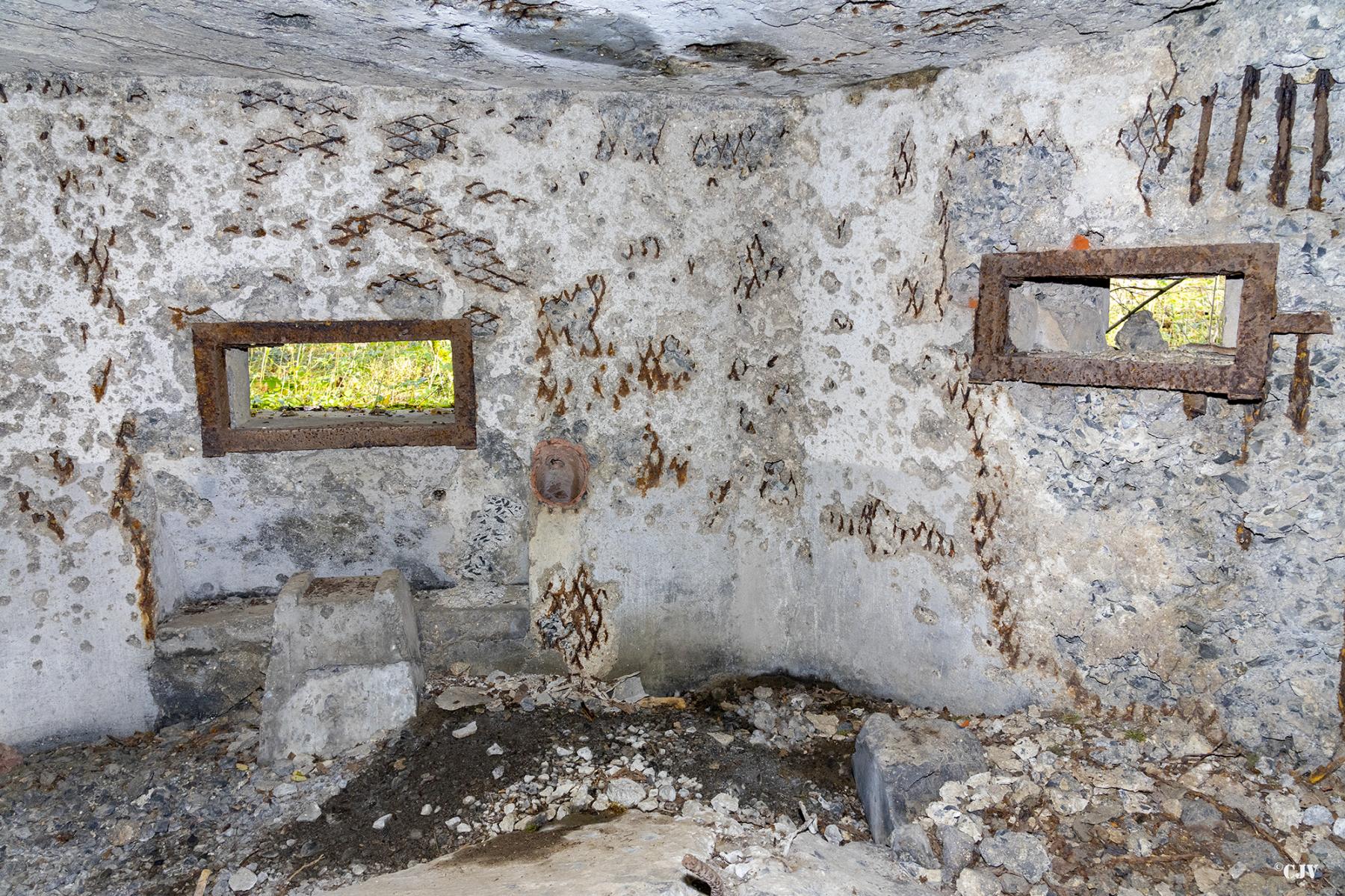 Ligne Maginot - B592 - BOIS DES LANIERES 4 - (Blockhaus pour canon) -  - Lia VERMEULEN