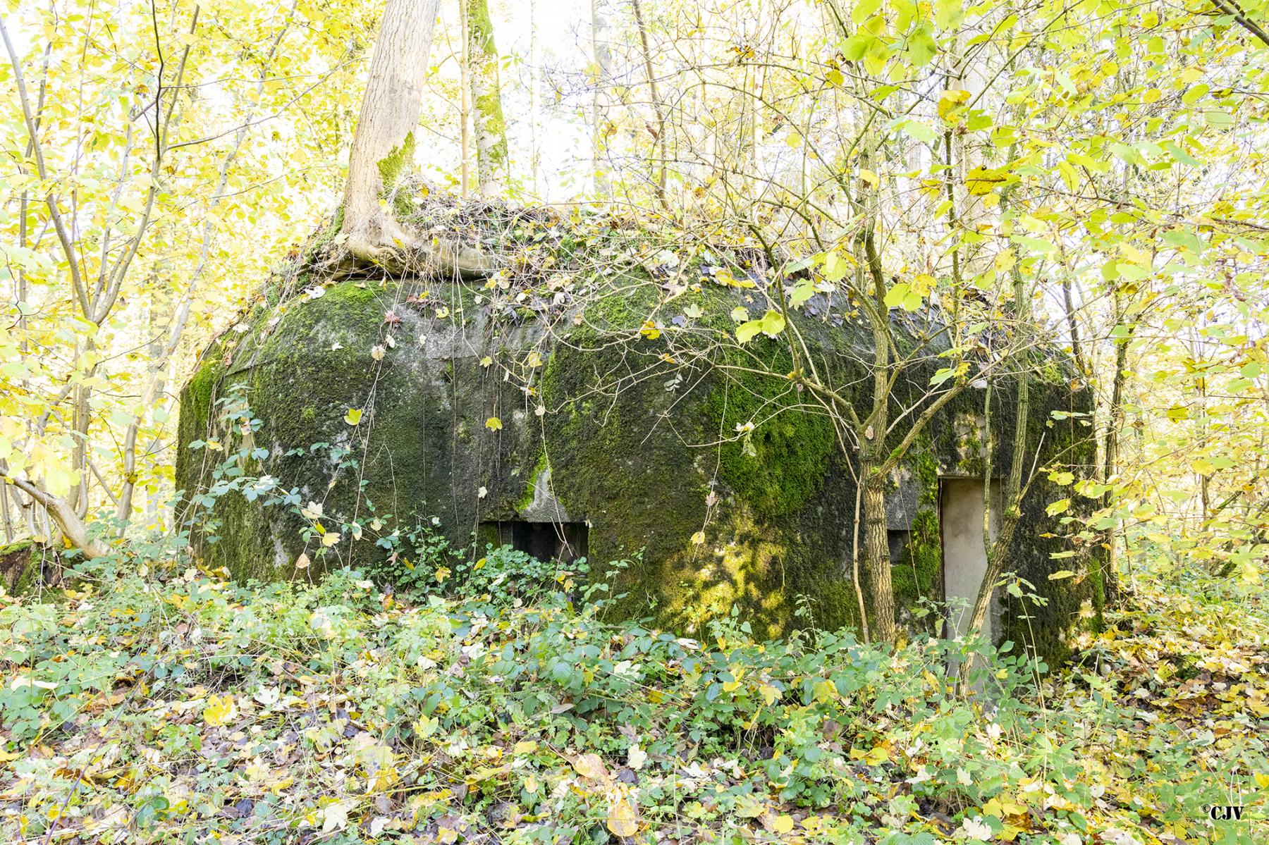 Ligne Maginot - B593 - BOIS DES LANIERES 5 - (Blockhaus pour canon) -  - Lia VERMEULEN