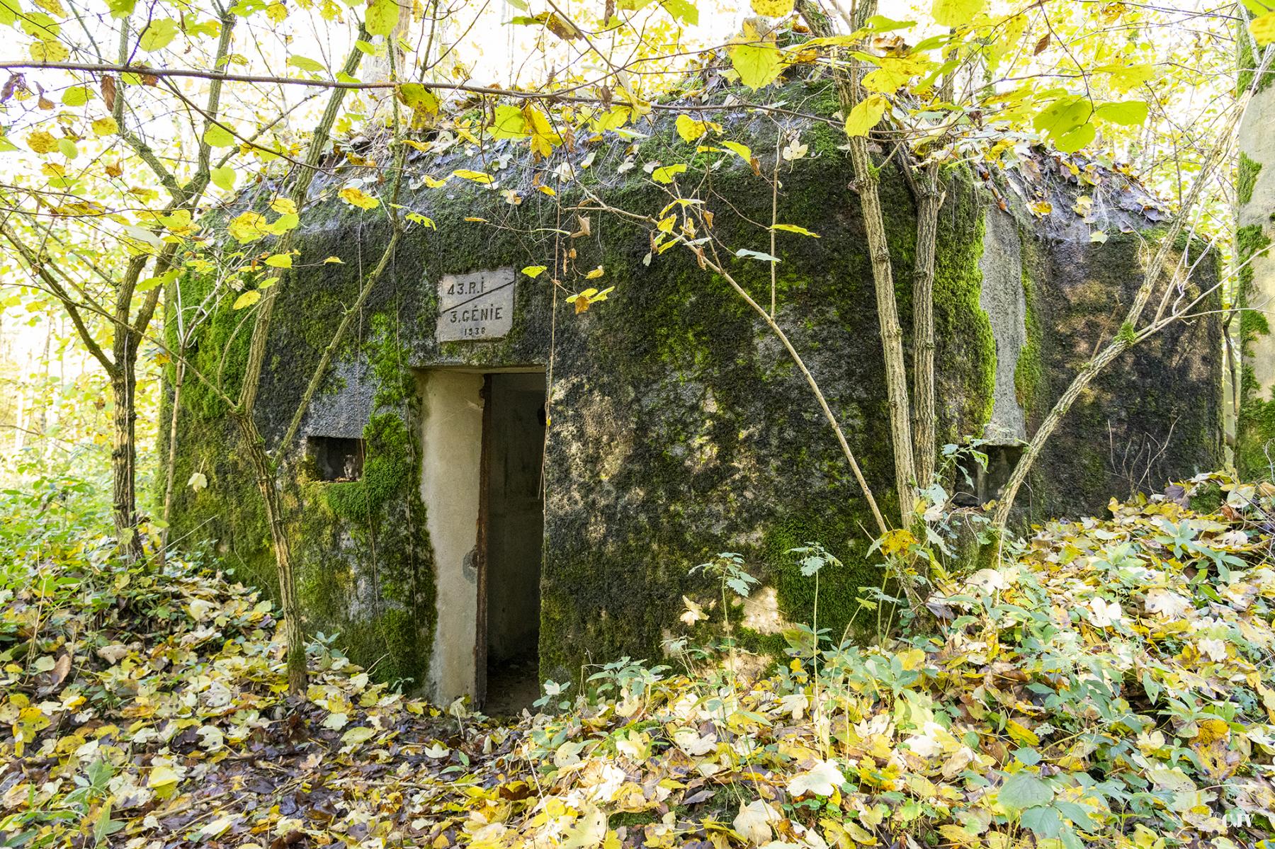 Ligne Maginot - B593 - BOIS DES LANIERES 5 - (Blockhaus pour canon) -  - Lia VERMEULEN