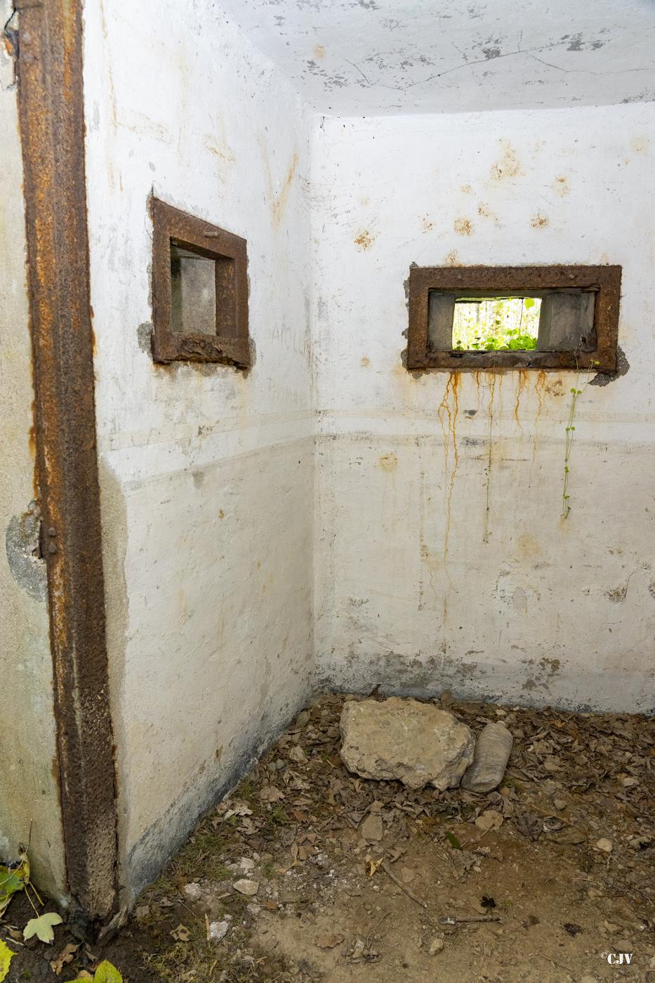 Ligne Maginot - B593 - BOIS DES LANIERES 5 - (Blockhaus pour canon) -  - Lia VERMEULEN